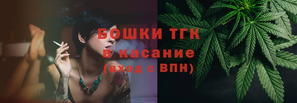 молекула духа Осинники