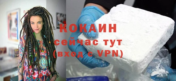 индика Нязепетровск